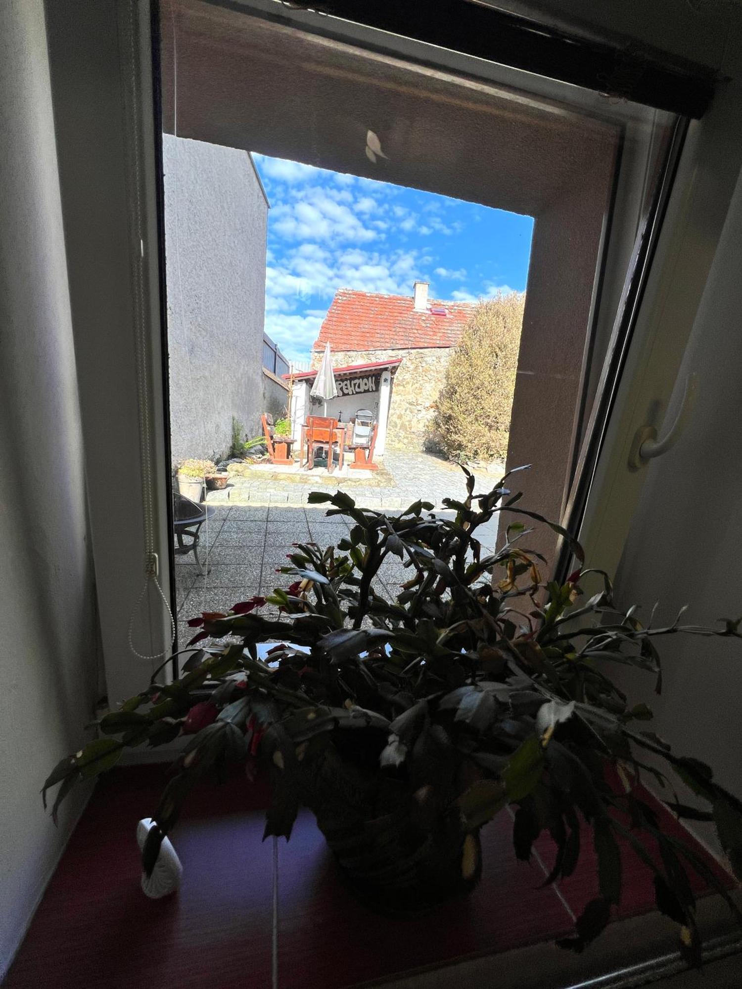 Penzion Na Ruzku Sedlcany Bagian luar foto